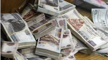 تفاصيل الفائدة.. أعلى شهادات بنك مصر والأهلي 2026